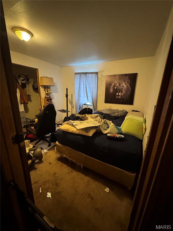 4386 Jarvis Road Hillsboro, MO 63050 - Photo 6 of 17