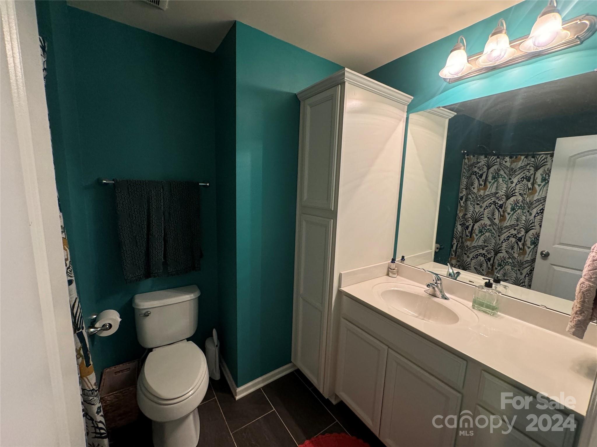 162 Limerick Road, Unit A Mooresville, NC 28115 - Photo 10 of 20 a bathroom with a sink toilet and shower