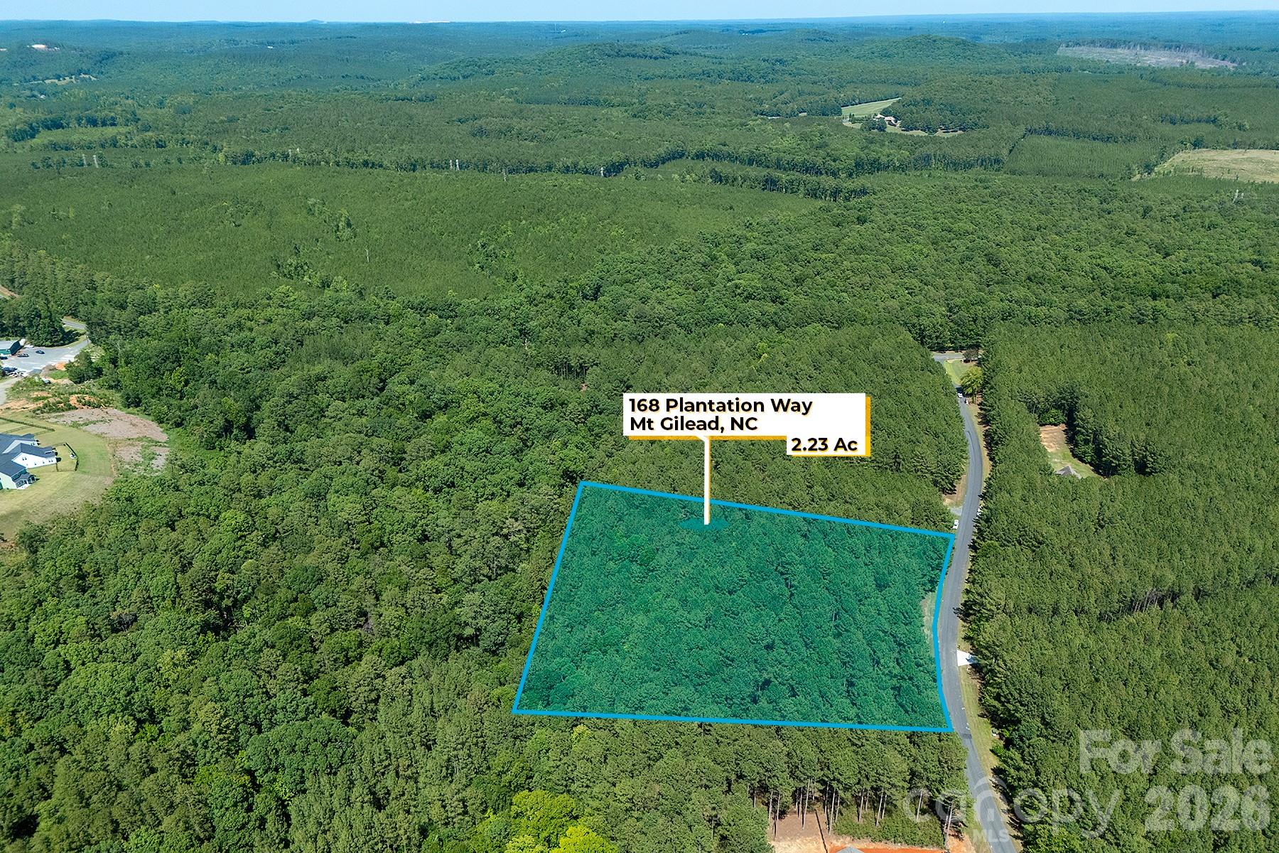 168 PLANTATION Way Mount Gilead, NC 27306 - Photo 14 of 14