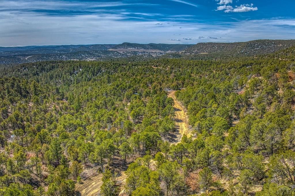 0 Co Road Trinidad, CO 81082 - Photo 22 of 64 Gallery Image 22