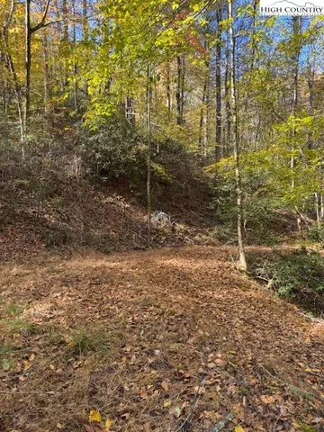 a view of a dry yard