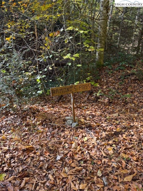 78 Holleridge Road Ferguson, NC 28624 - Photo 2 of 14 a picture of a tree