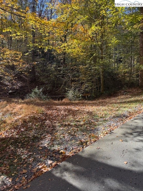 78 Holleridge Road Ferguson, NC 28624 - Photo 5 of 14 a view of a yard with trees