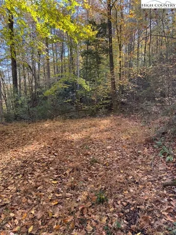 a view of a yard with plants and trees