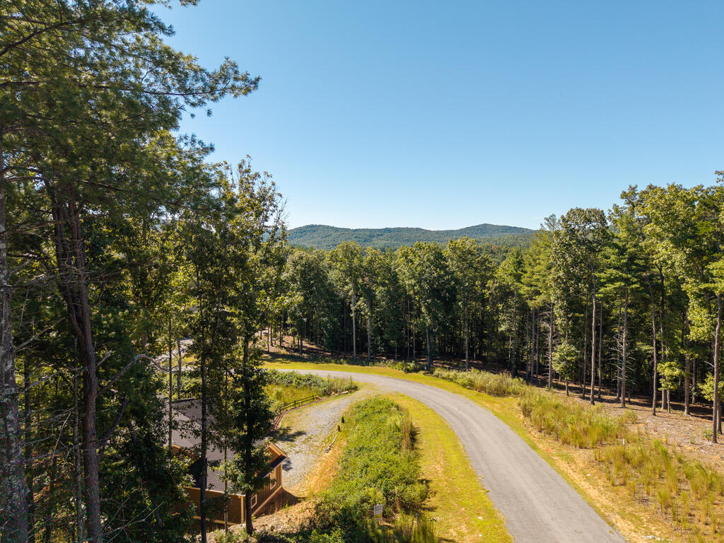 Lot 62 Ridge Drive Blue Ridge, GA 30513 - Photo 10 of 17 Gallery Image 10