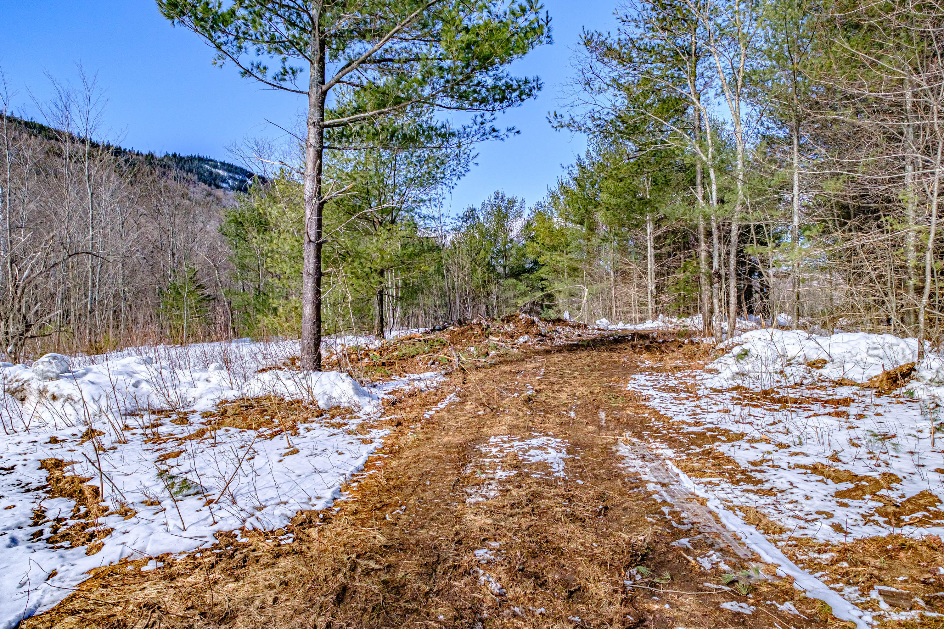 Lot 28 Bear River Road Newry, ME 04261 - Photo 25 of 38 20230316gp-61024