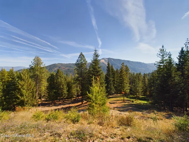 $925,000 | 445 Moose Mountain Lane, Pinehurst, ID 83850