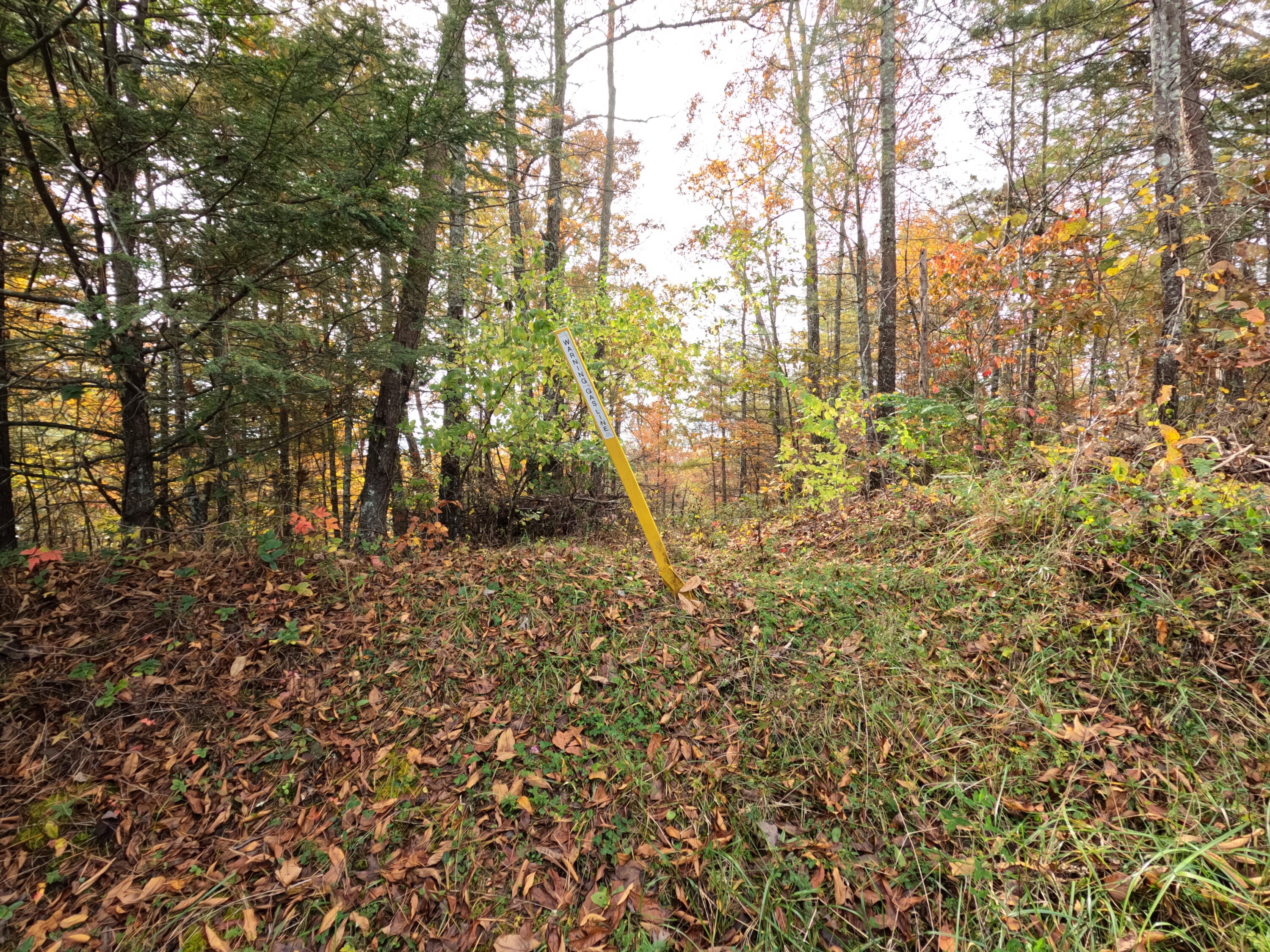 1 Ellen Drake Road Campton, KY 41301 - Photo 11 of 24 GOPR0185