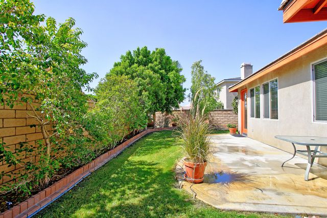 a view of a garden with plants