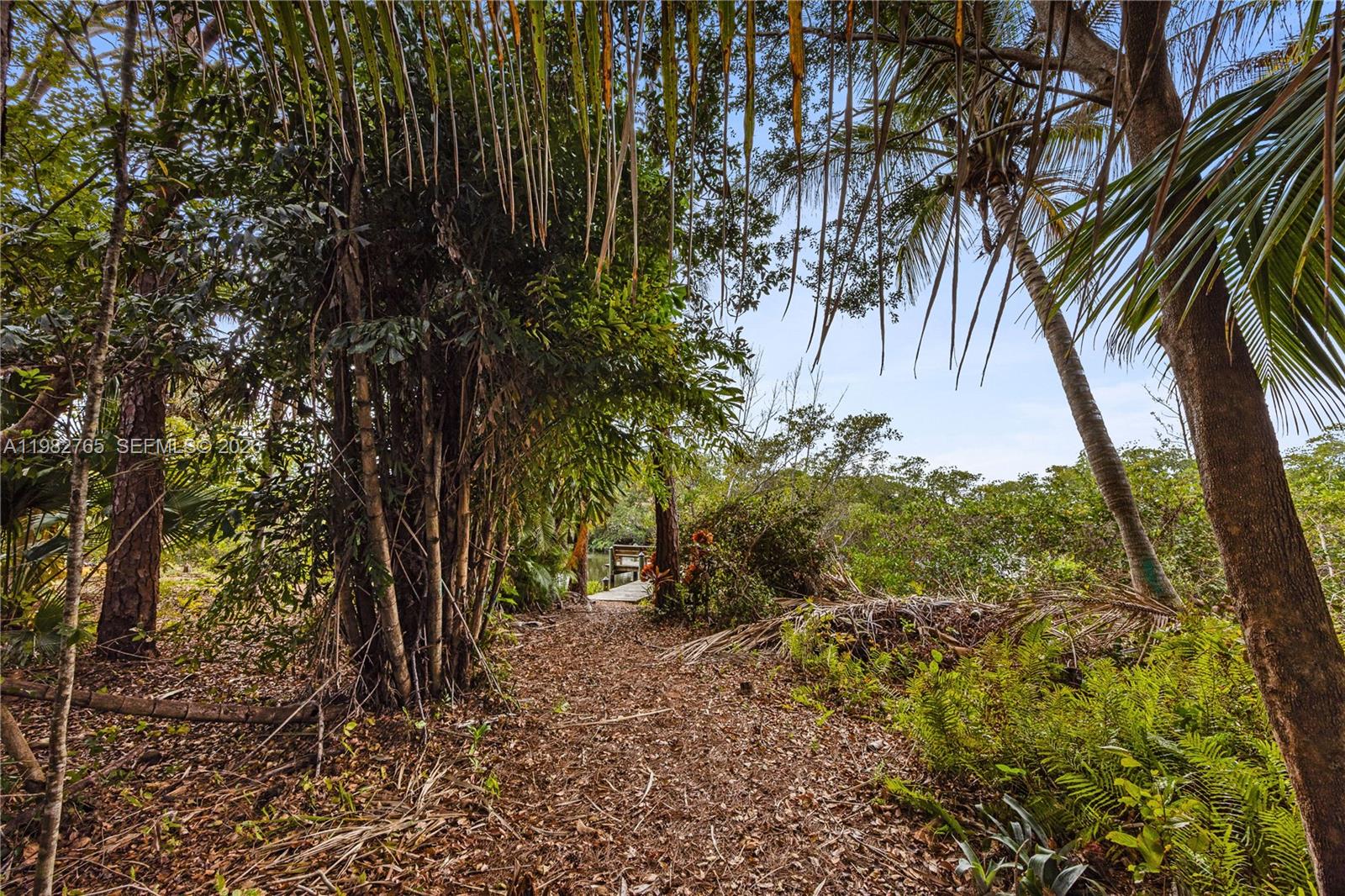 8962 Southeast Riverfront Terrace Jupiter, FL 33469 - Photo 14 of 20 a view of a yard with plants and trees