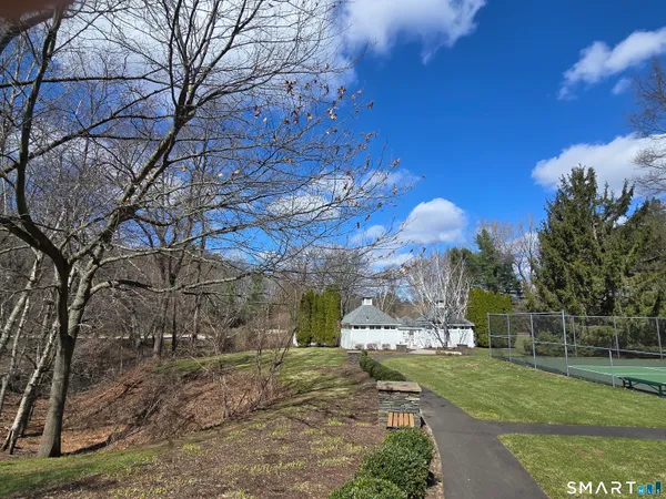 a view of a park that has a large tree