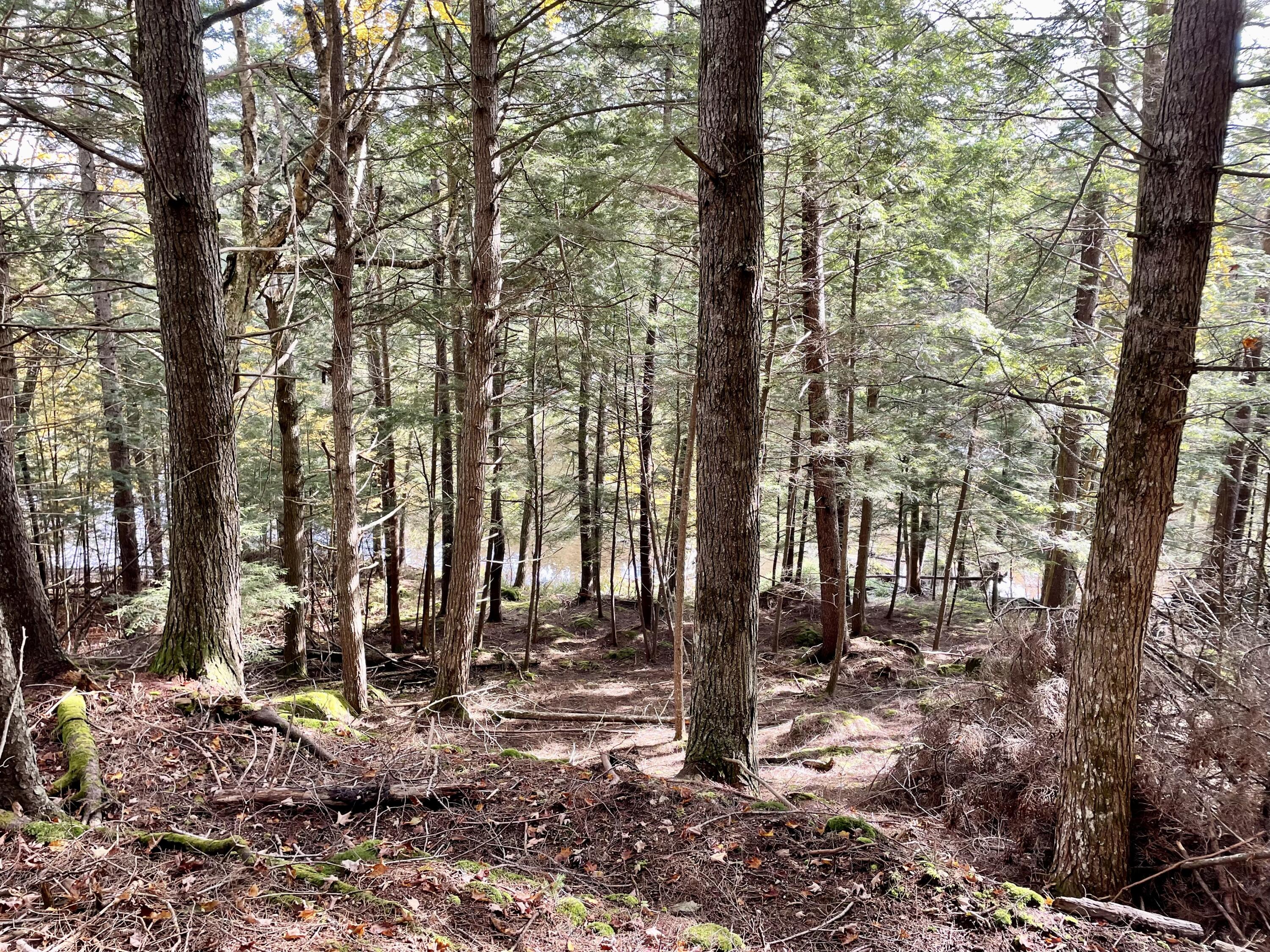 Lot 79-80 Black Point Road Beaver Cove, ME 04441 - Photo 10 of 11 0D976CA9-9F55-470B-9BD2-B901D56AB6E2