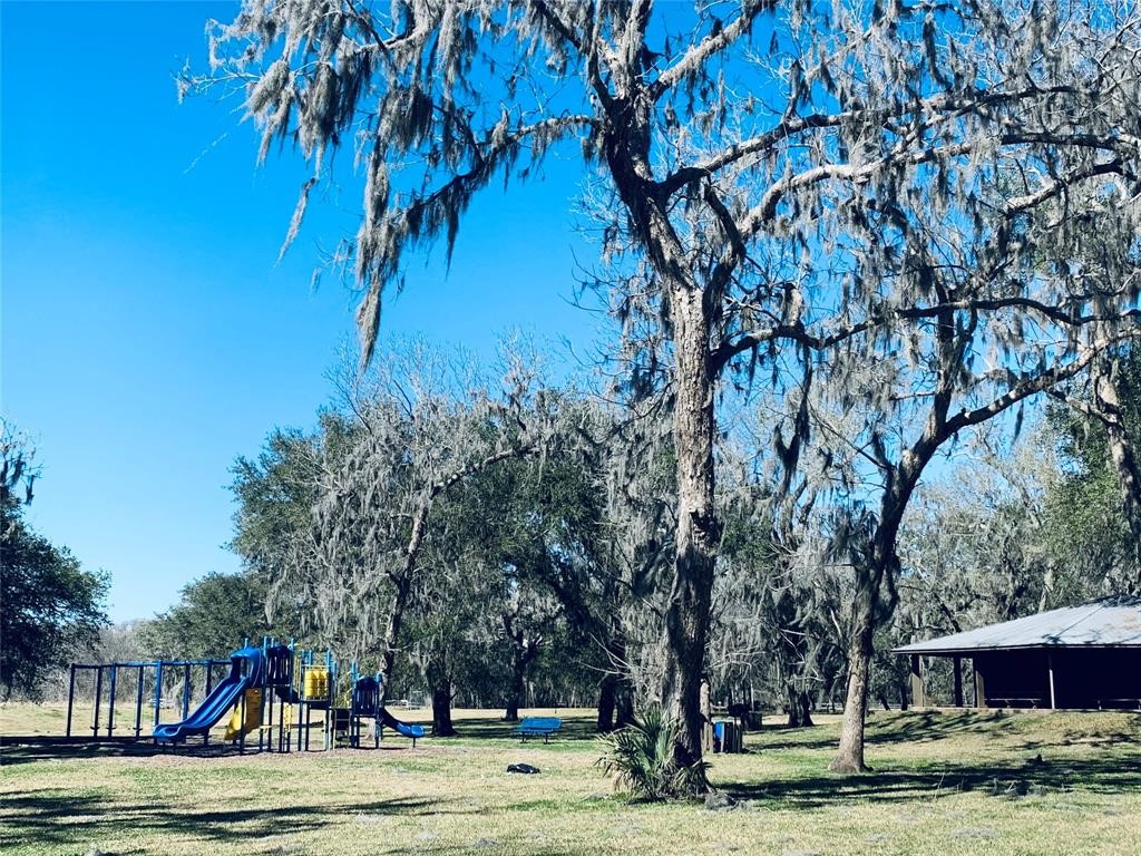 484 Conestoga Trail Angleton, TX 77515 - Photo 11 of 14