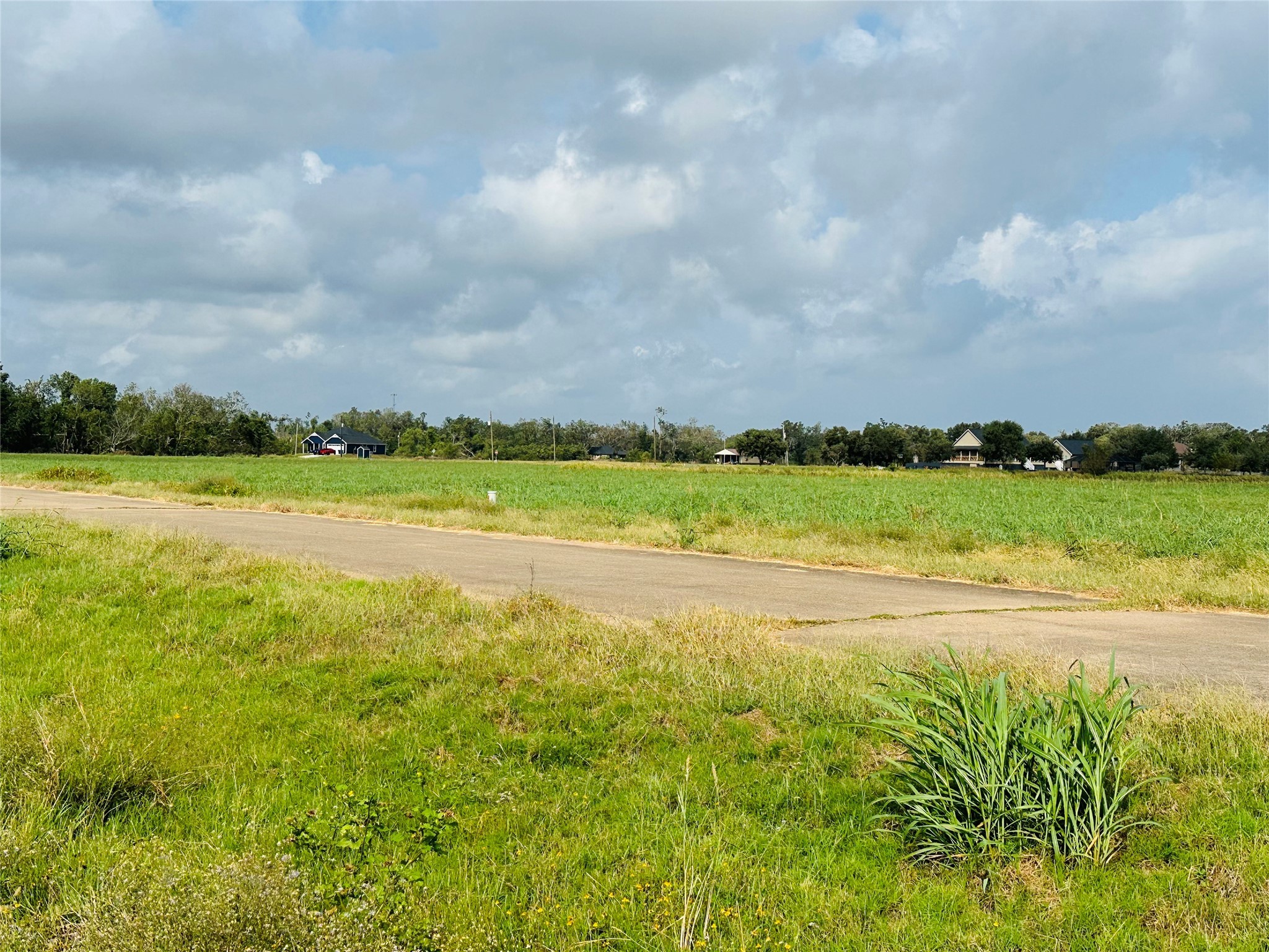 484 Conestoga Trail Angleton, TX 77515 - Photo 6 of 14