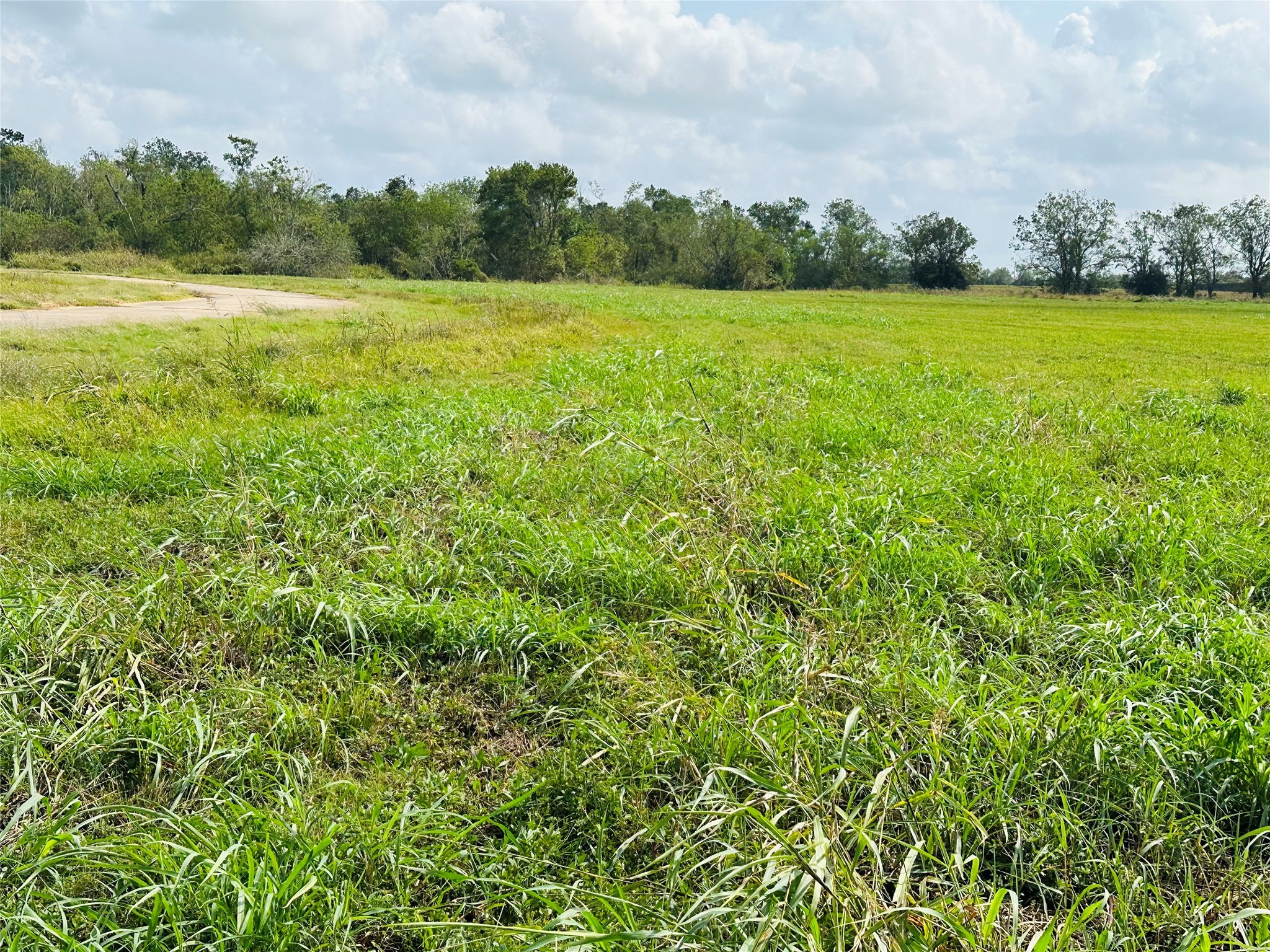484 Conestoga Trail Angleton, TX 77515 - Photo 7 of 14