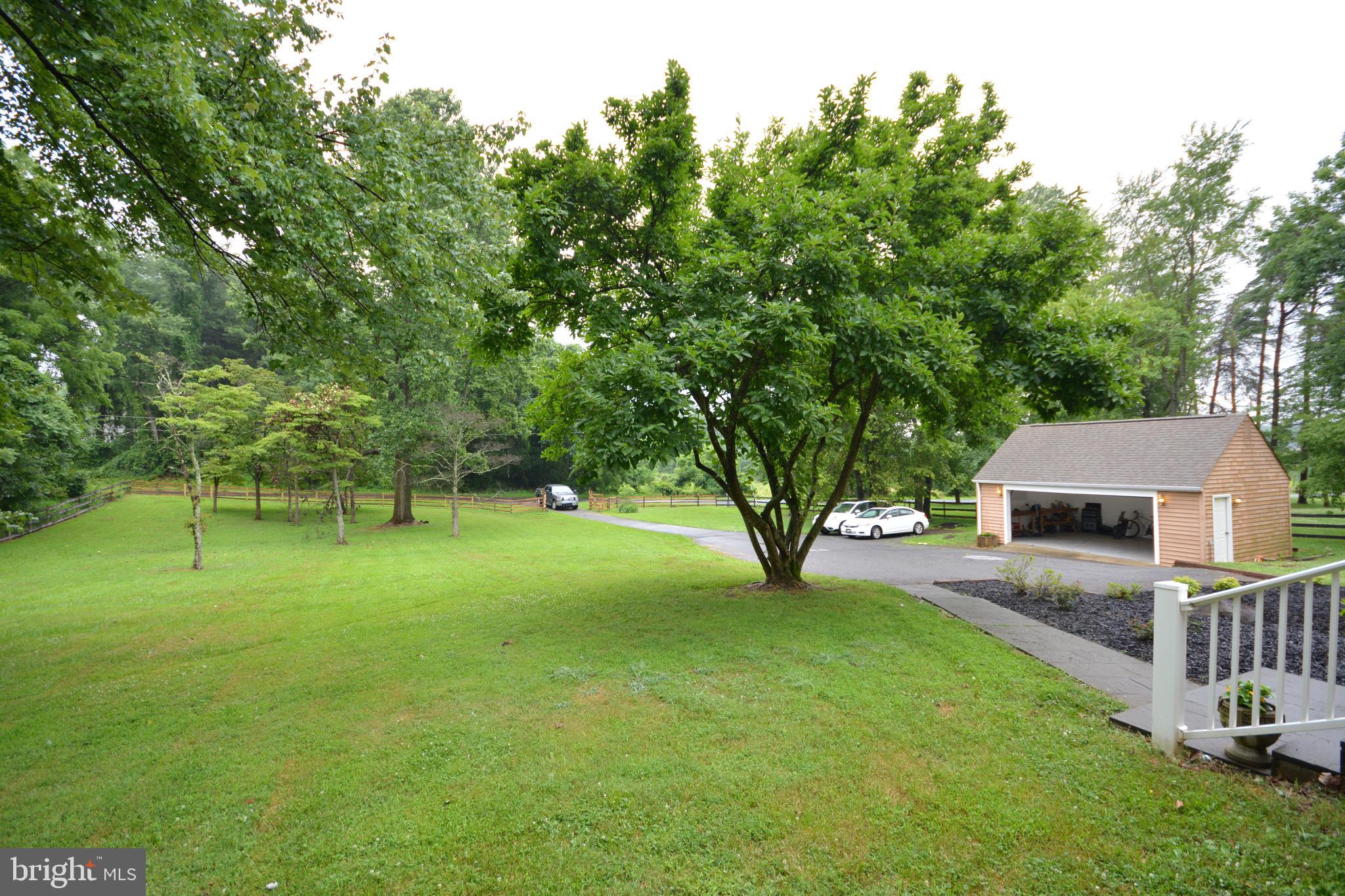 5534 Old Bust Head Road Broad Run, VA 20137 - Photo 5 of 32 Front yard with Old Bust Head Road (background).