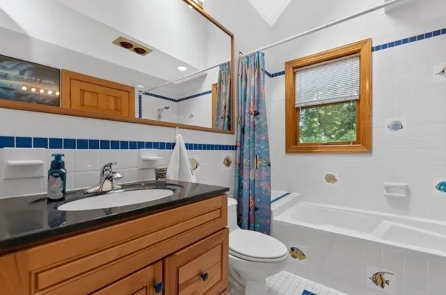 a bathroom with a sink a toilet and a bathtub