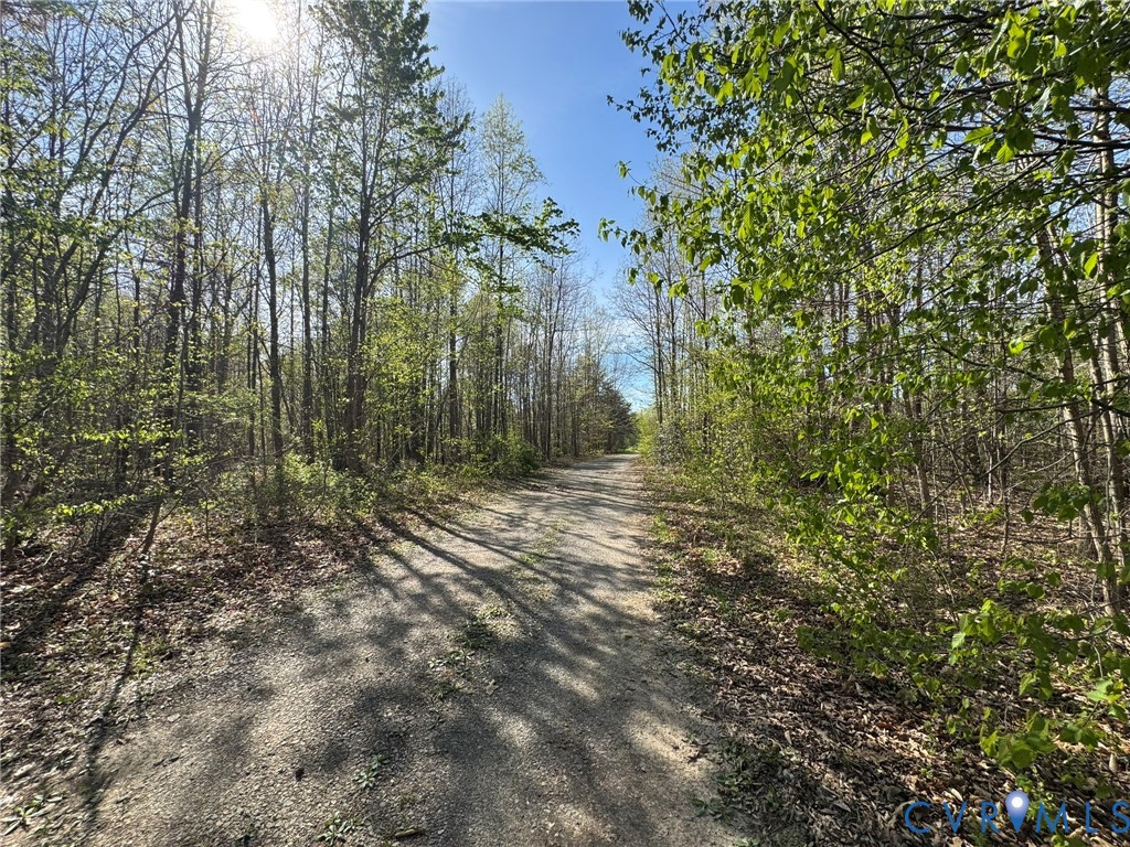 1825 Belle Meade Road Bumpass, VA 23024 - Photo 11 of 41