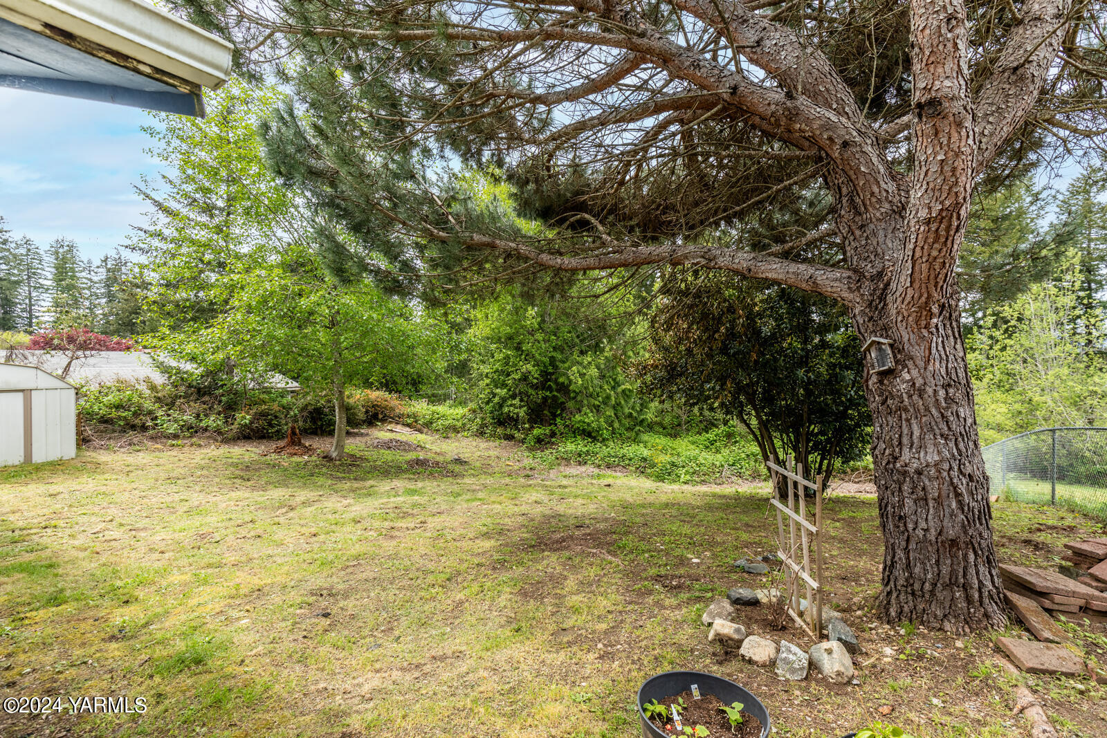 1690 Trails Road East Belfair, WA 98528 - Photo 10 of 22 a backyard of a house with lots of green space
