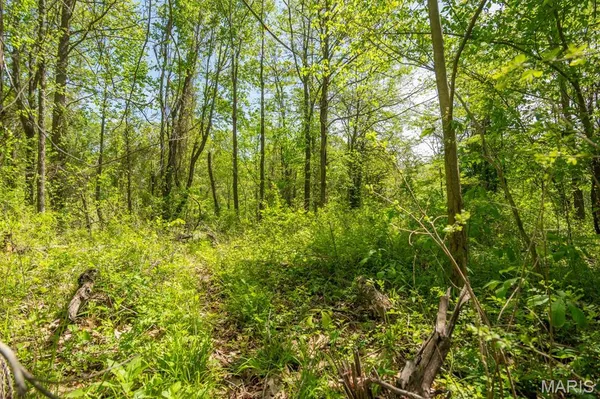 $124,000 | 0 E Highway, Bloomfield, MO 63825