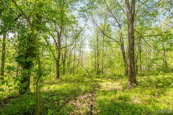 $124,000 | 0 E Highway, Bloomfield, MO 63825