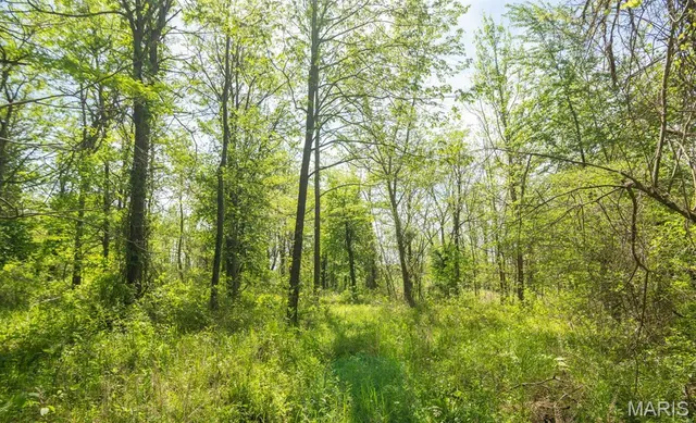 $124,000 | 0 E Highway, Bloomfield, MO 63825