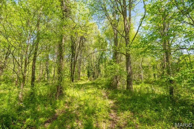 $124,000 | 0 E Highway, Bloomfield, MO 63825