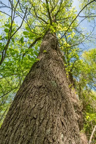 $124,000 | 0 E Highway, Bloomfield, MO 63825