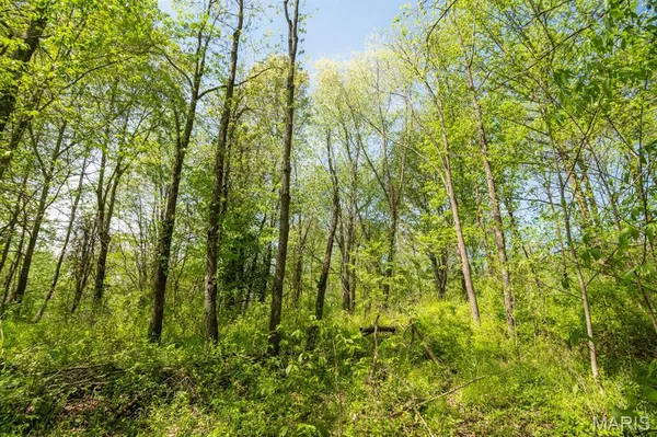 $124,000 | 0 E Highway, Bloomfield, MO 63825