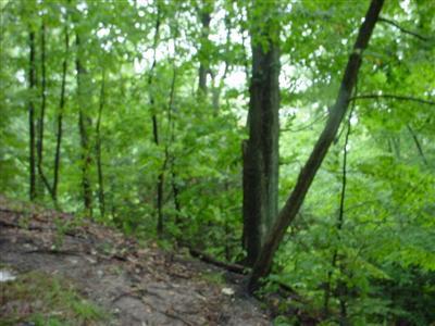Upper Ridge Trail Montague, MI 49437 - Photo 2 of 3 Additional Photo