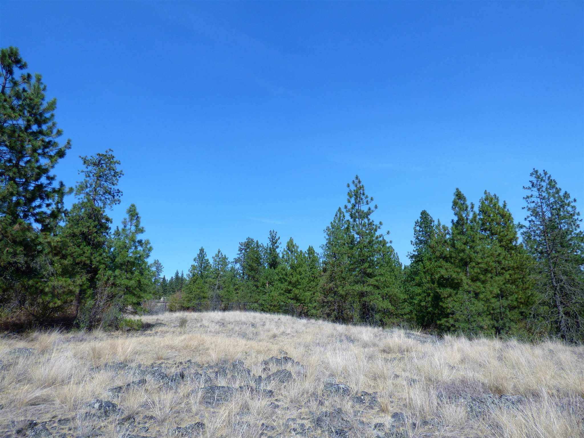 3300 North Dowdy Road Spokane, WA 99224 - Photo 11 of 21 Gallery Image 11