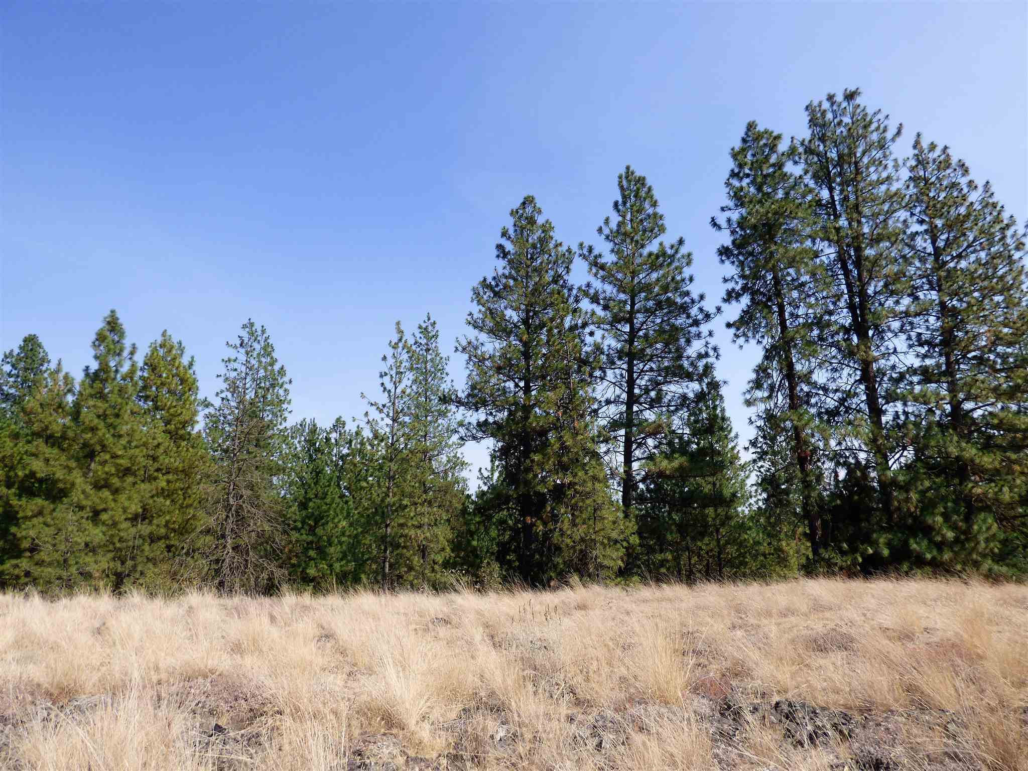 3300 North Dowdy Road Spokane, WA 99224 - Photo 12 of 21 Gallery Image 12