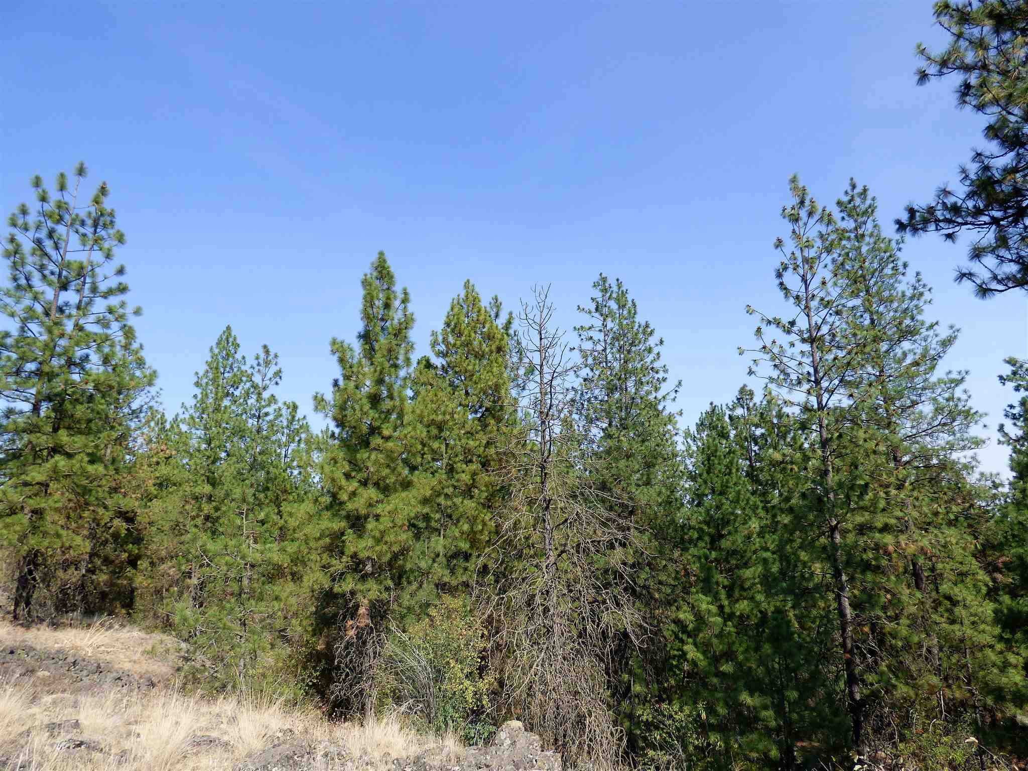3300 North Dowdy Road Spokane, WA 99224 - Photo 15 of 21 Gallery Image 15