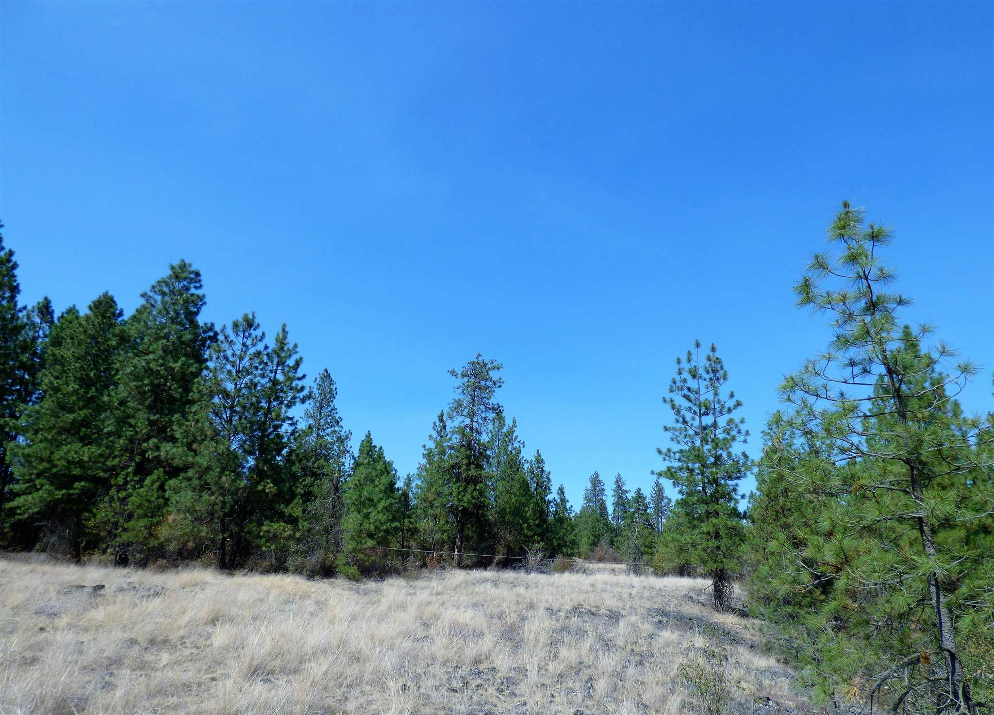 3300 North Dowdy Road Spokane, WA 99224 - Photo 18 of 21 Gallery Image 18
