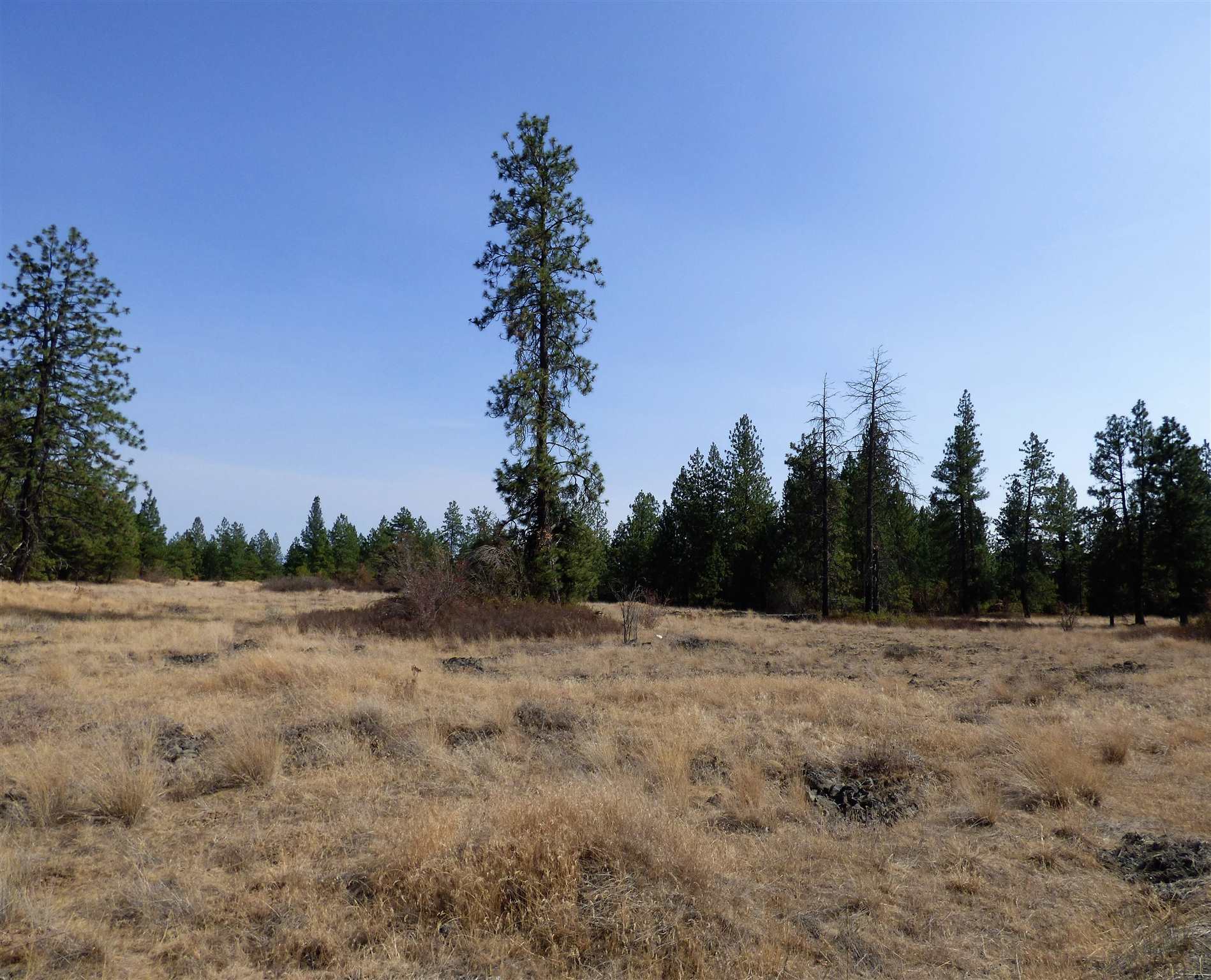 3300 North Dowdy Road Spokane, WA 99224 - Photo 19 of 21 Gallery Image 19