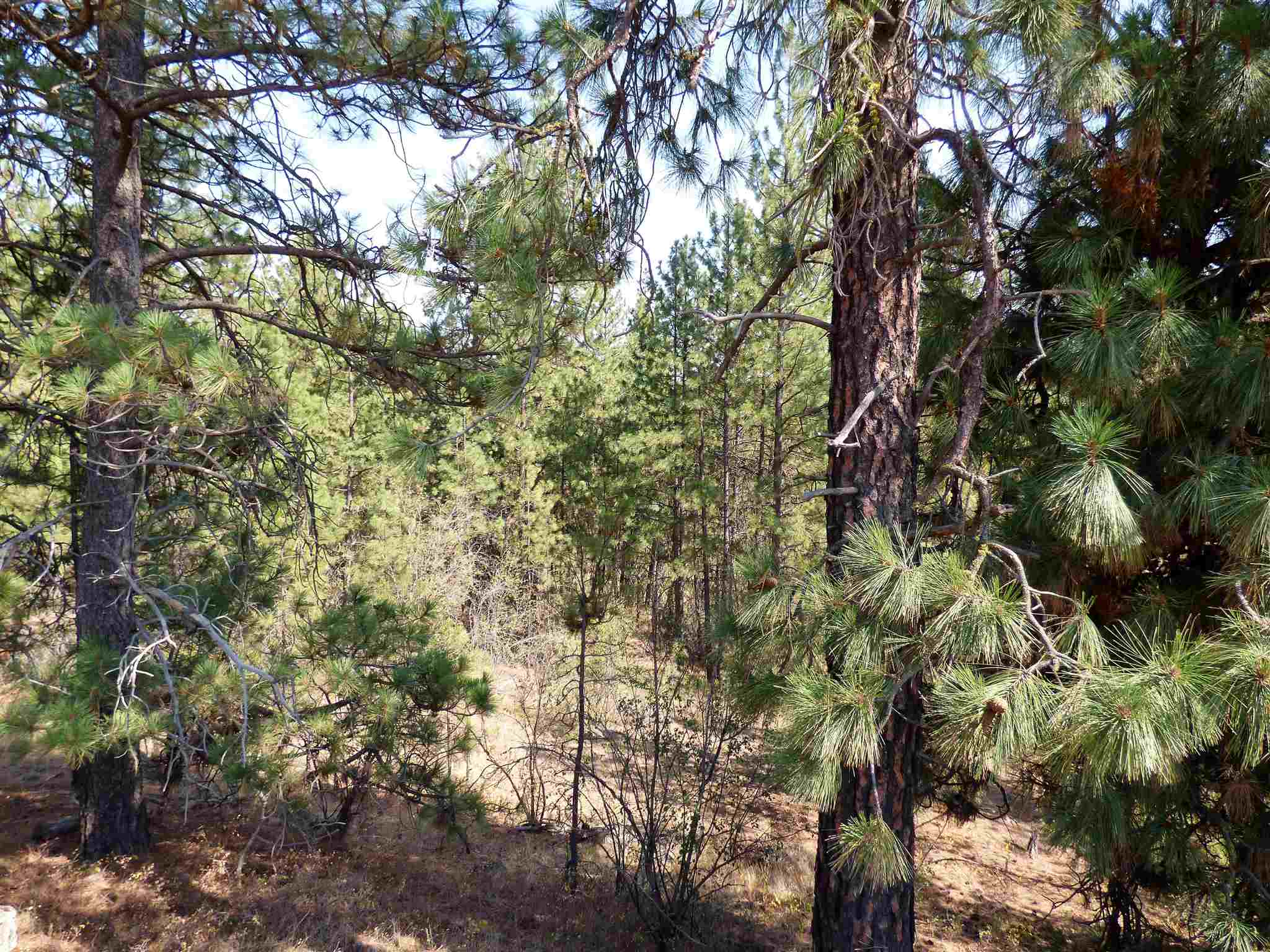 3300 North Dowdy Road Spokane, WA 99224 - Photo 20 of 21 Gallery Image 20
