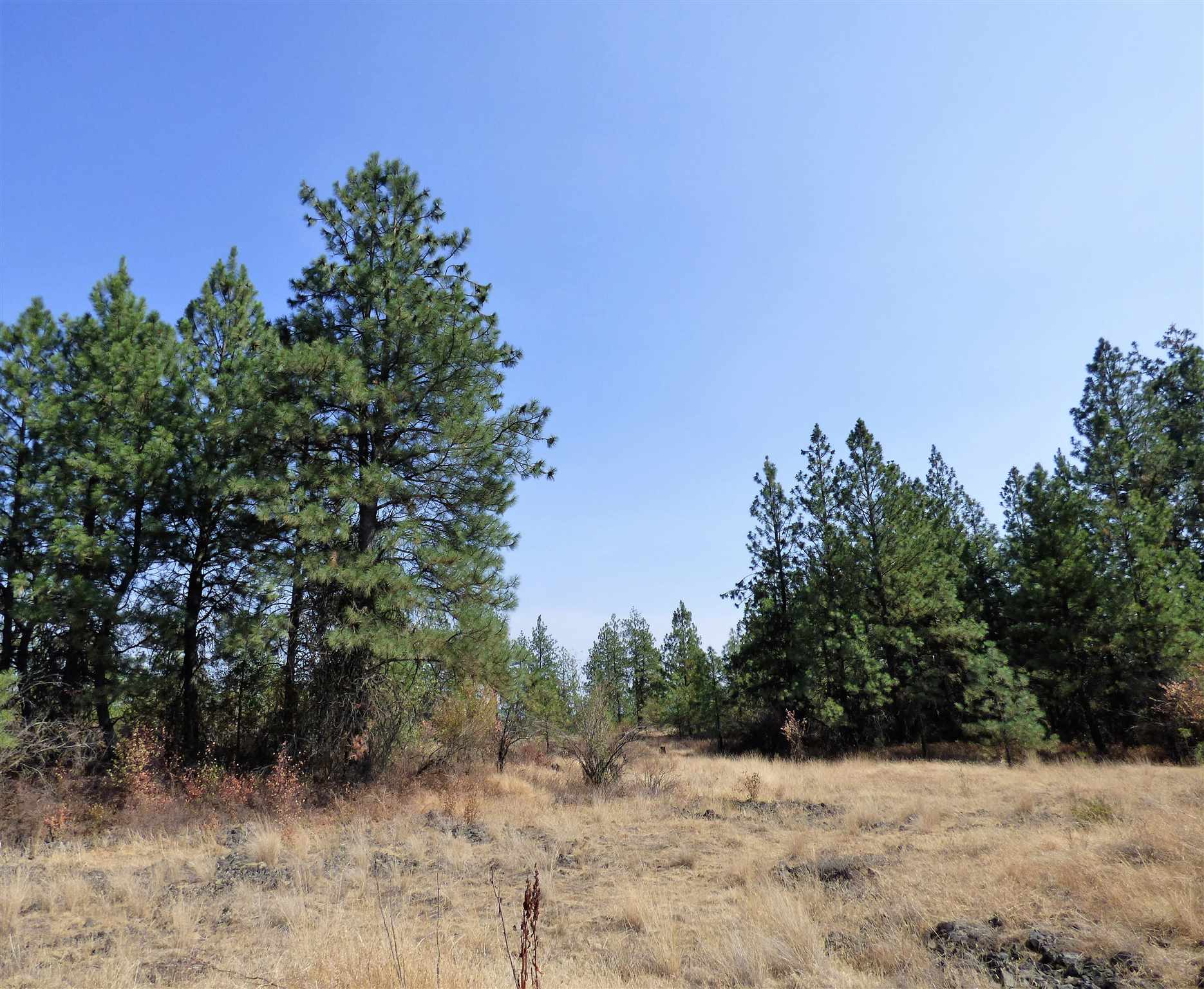 3300 North Dowdy Road Spokane, WA 99224 - Photo 5 of 21 Gallery Image 5