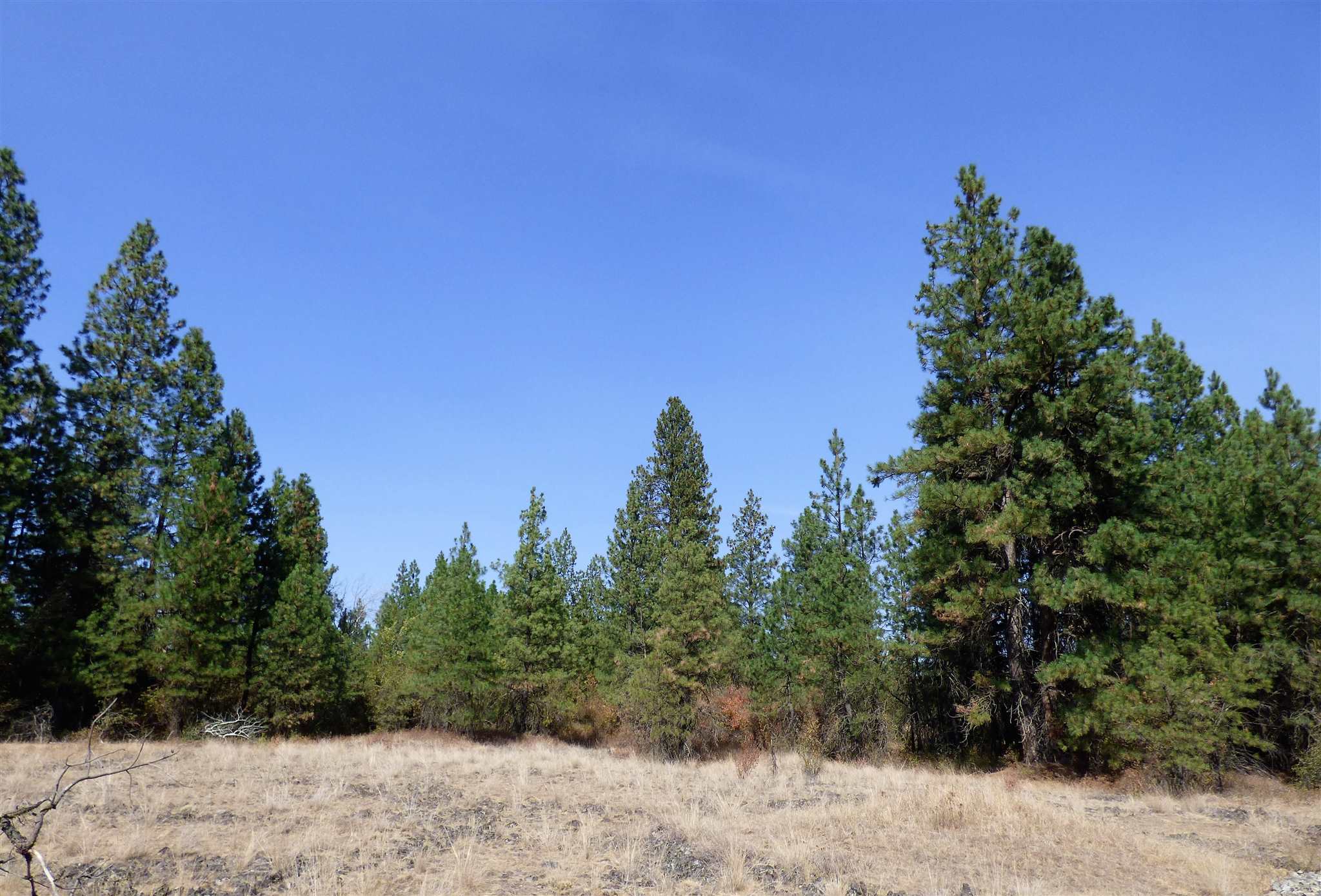 3300 North Dowdy Road Spokane, WA 99224 - Photo 7 of 21 Gallery Image 7