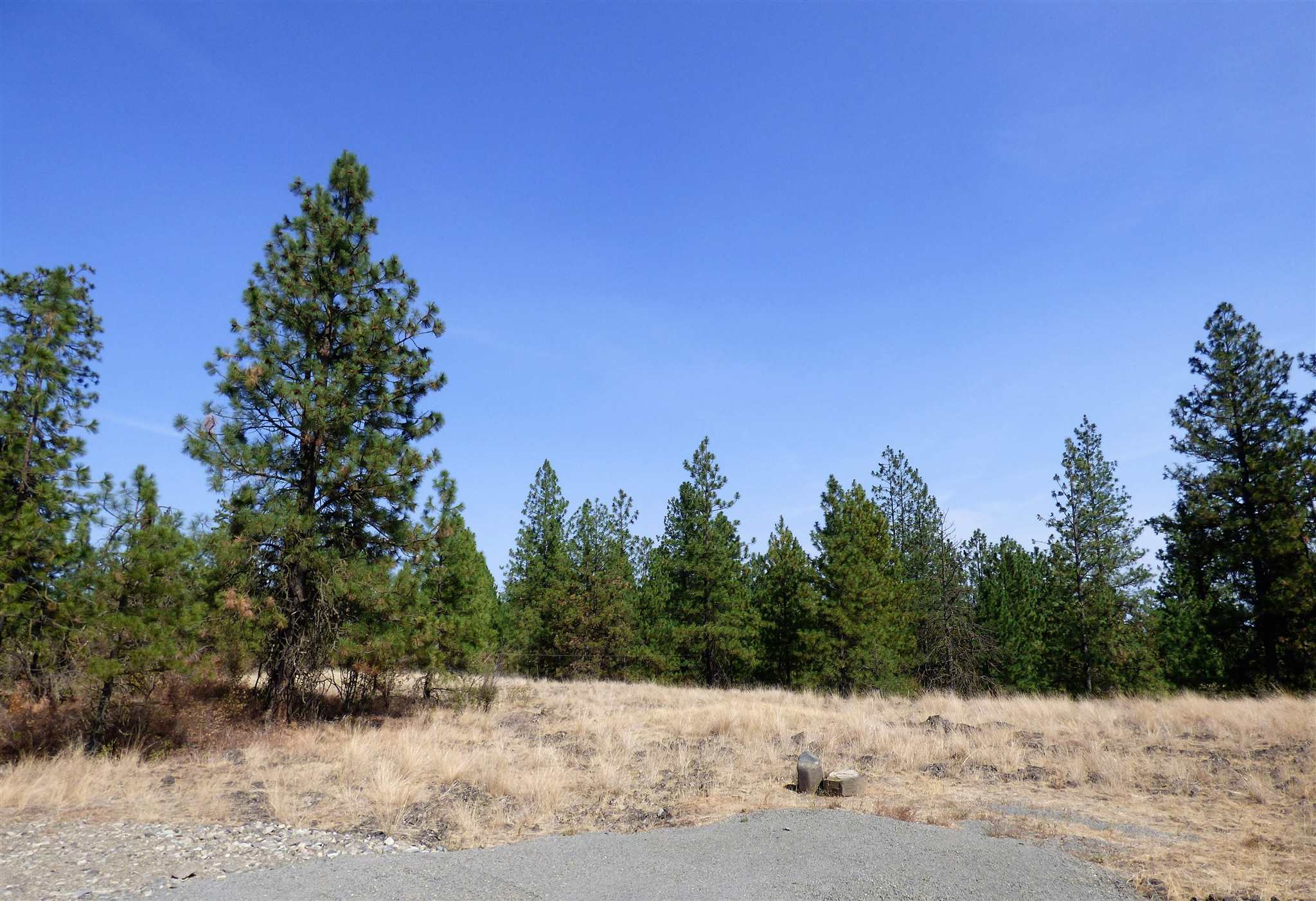 3300 North Dowdy Road Spokane, WA 99224 - Photo 9 of 21 Gallery Image 9