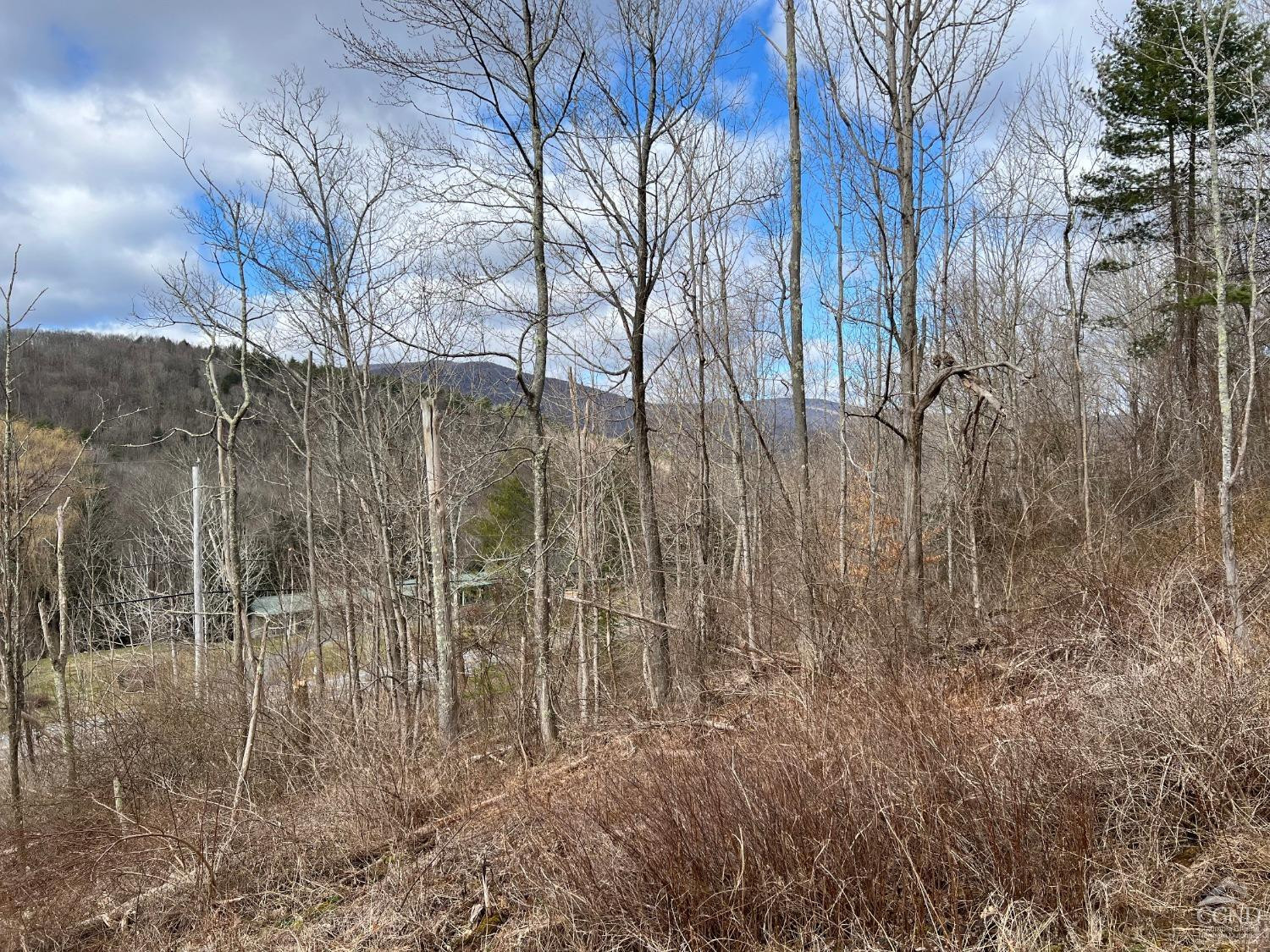 0 Route 23a Road Prattsville, NY 12468 - Photo 12 of 18 Photo 11