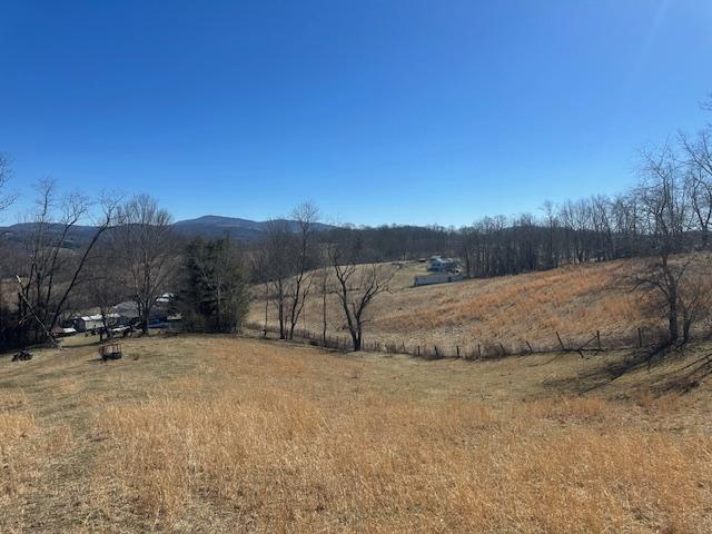 Tbd Flat Ridge Road, Unit 31A67 Mouth Of Wilson, VA 24363 - Photo 11 of 27 Gallery Image 11