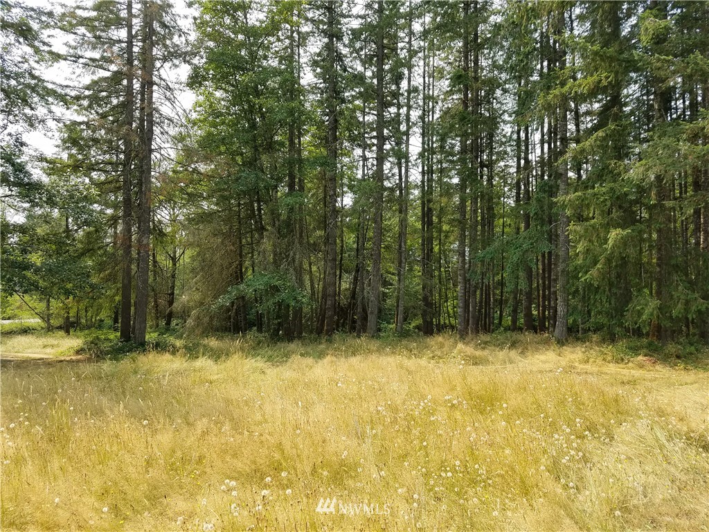 1365 Centralia Alpha Road Chehalis, WA 98532 - Photo 10 of 25
