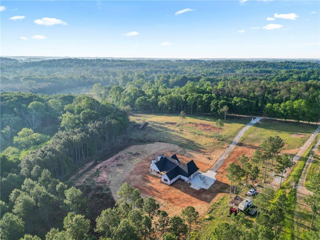 1663 Watkins Farm Road Nicholson, GA 30565 - Photo 58 of 64