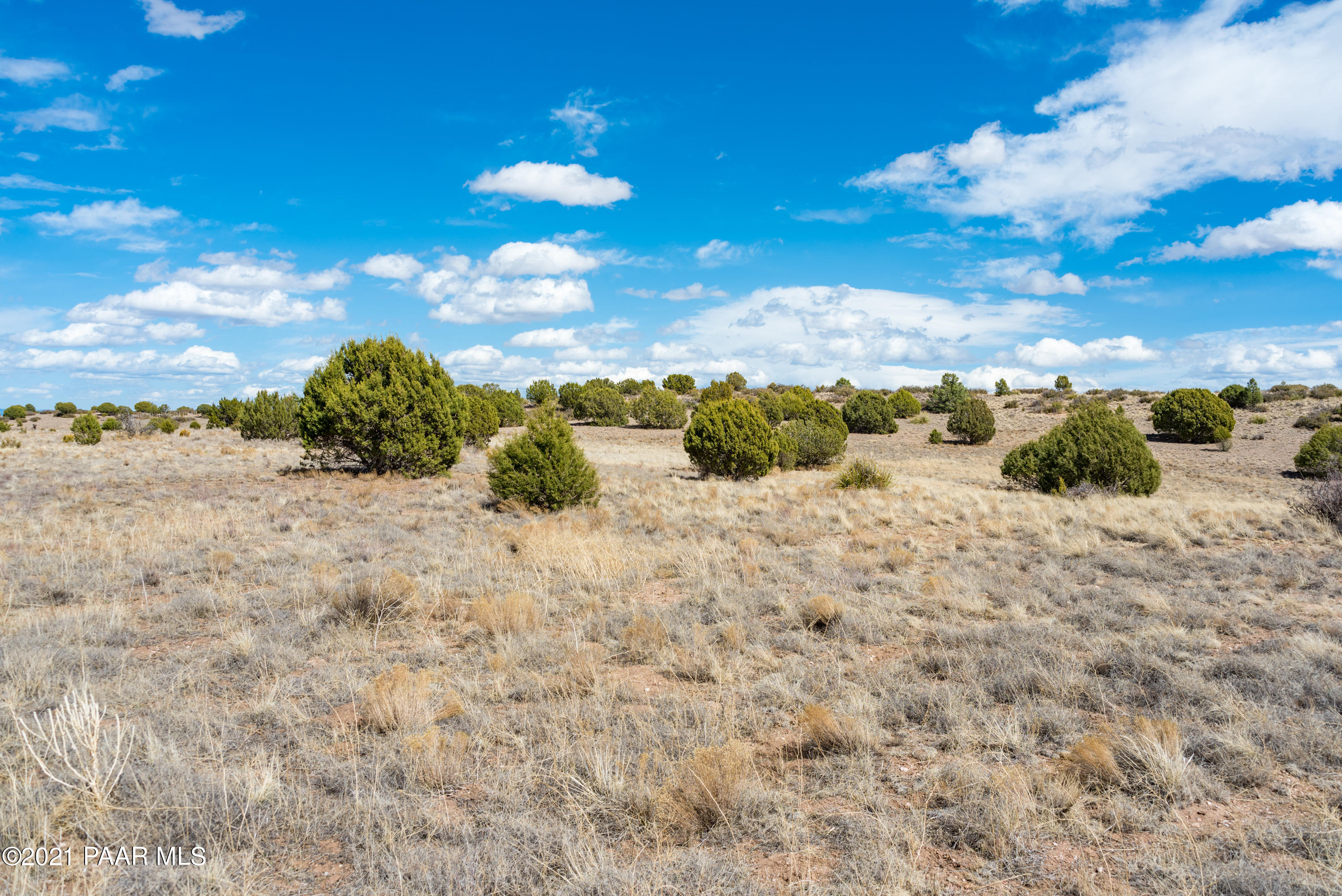 575 Bandit Ridge Road Prescott, AZ 86305 - Photo 11 of 11 DSC_3779