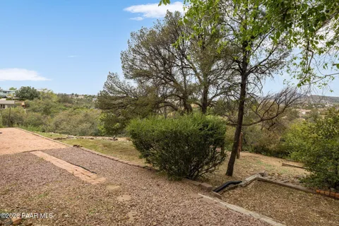 a view of a dry yard with trees