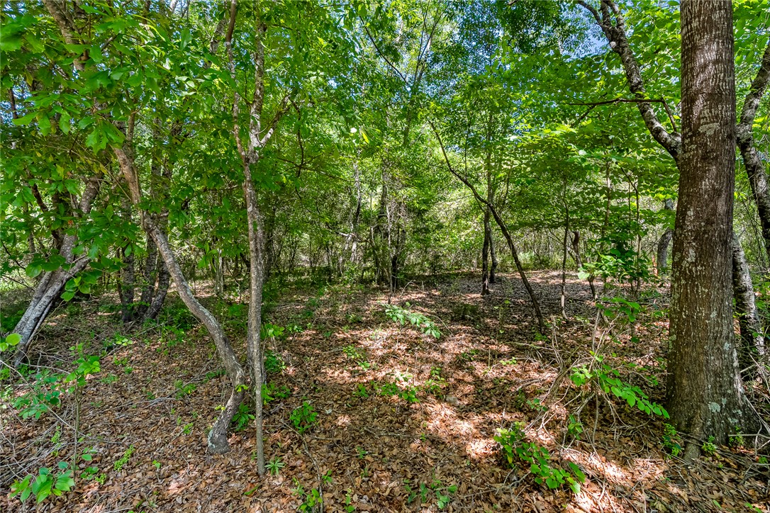 0 Boggs Road Belton, SC 29627 - Photo 6 of 12 Gallery Image 6
