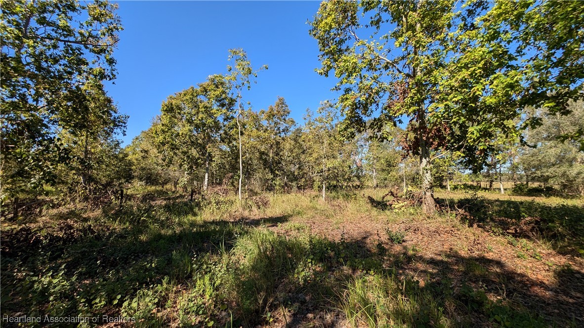 3605 Rabbit Run Road Wauchula, FL 33873 - Photo 23 of 50 a view of a lake