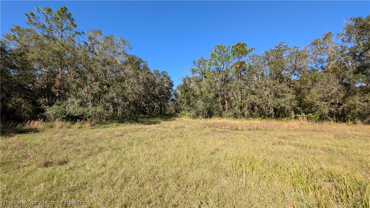 3605 Rabbit Run Road Wauchula, FL 33873 - Photo 3 of 50 a view of a yard