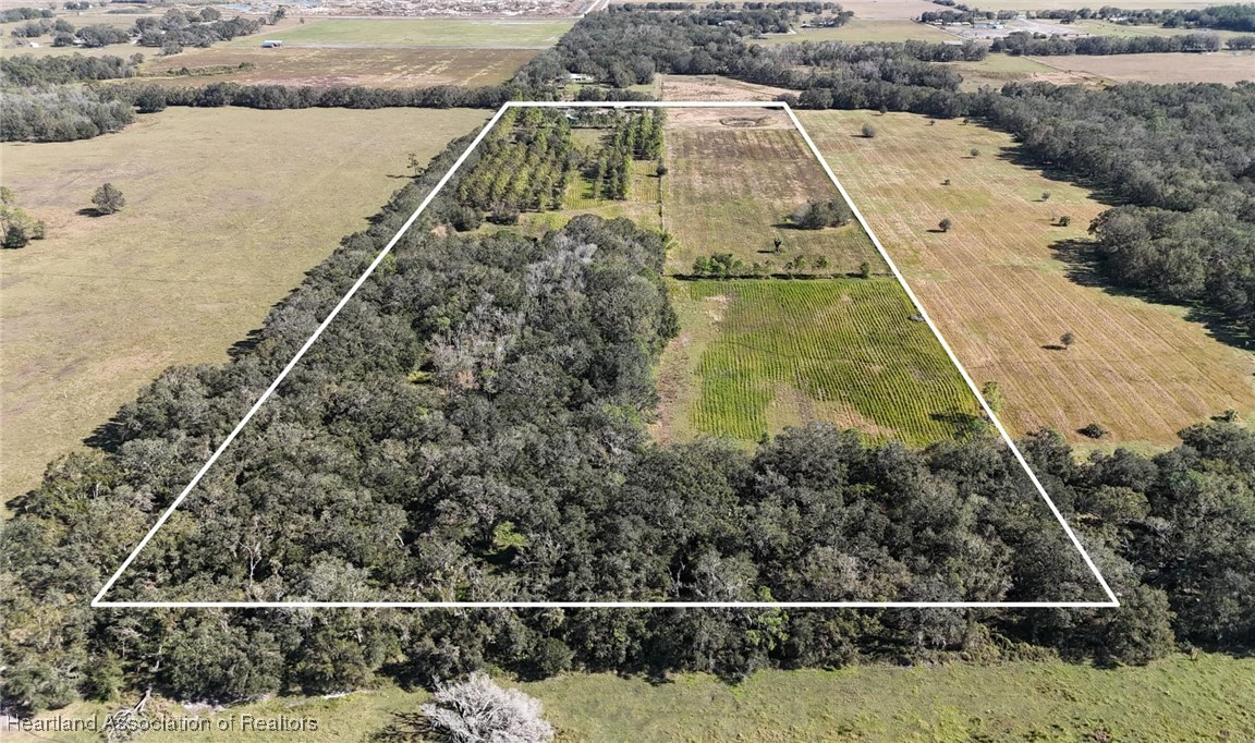 3605 Rabbit Run Road Wauchula, FL 33873 - Photo 43 of 50 a view of a yard