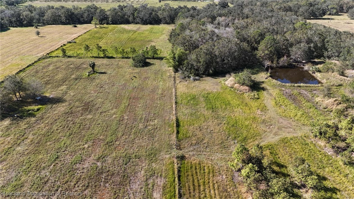 3605 Rabbit Run Road Wauchula, FL 33873 - Photo 48 of 50 a view of outdoor space view